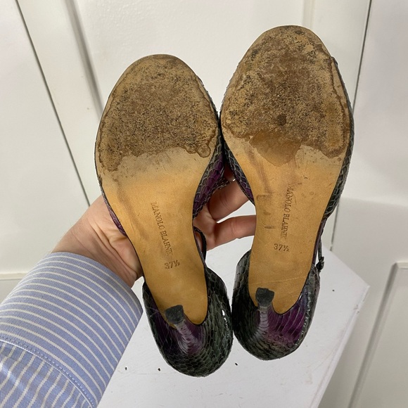 Python Manolo Blahnik - Picture 6 of 7